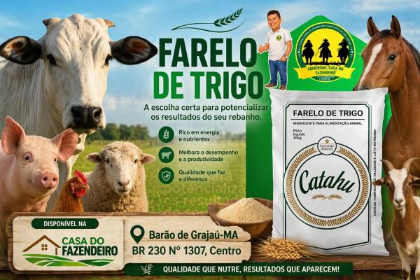 Casa do Fazendeiro oferece produtos de qualidade para o seu rebanho em Barão de Grajaú