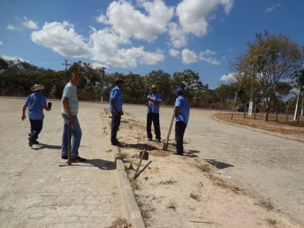 Projeto "Adote uma Árvore" realiza plantios no Conjunto Novo Retiro