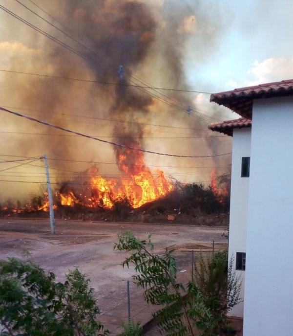 Incêndio atinge área de mata perto de condomínio residencial em Teresina