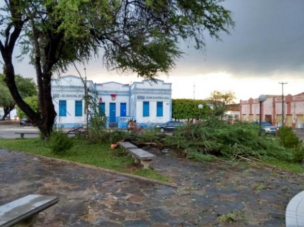 Temporal com ventos fortes e chuva de granizo provoca queda de árvores