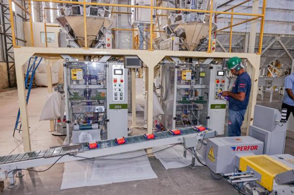 Piauí tem mais de 300 mil empresas ativas, com predominância do comércio e serviços