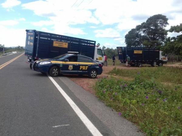 PRF inicia Operação Corpus Christi com reforço nas BRs do Piauí