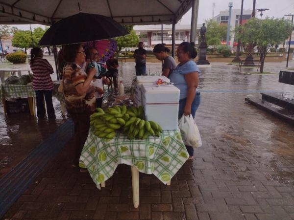 Realizada em Floriano a I Feirinha da Rede Fecundação
