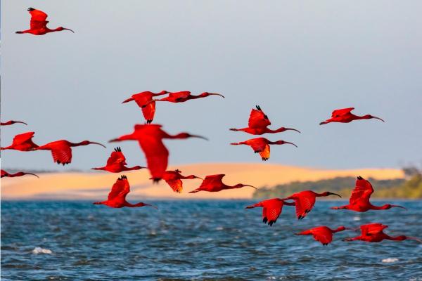 Delta do Parnaíba registra crescimento no fluxo de turistas e se destaca como referência nacional