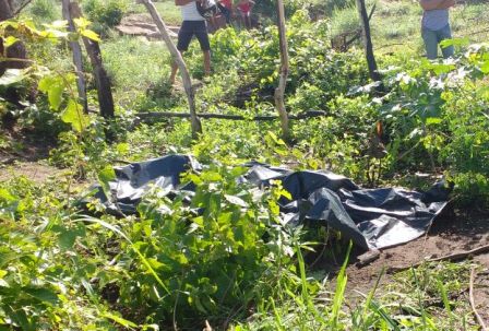Corpo de adolescente é encontrado em matagal em Barão de Grajaú