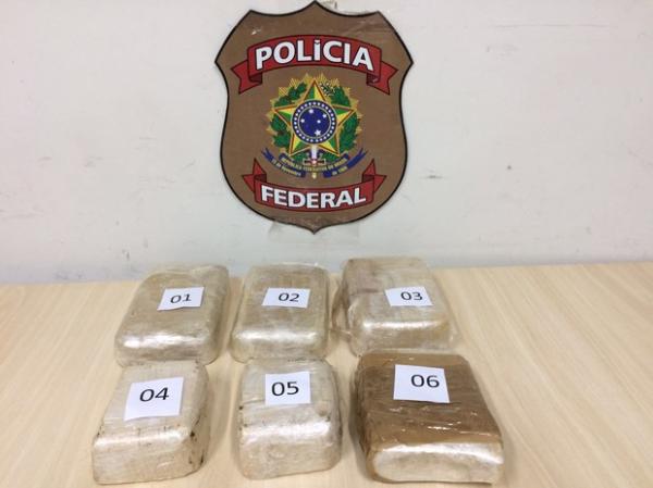 PF encontra coca em pasta escondida em painel de veículo no Litoral do PI
