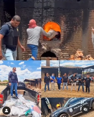 Operação resulta na incineração de 35kg de entorpecentes pelas Forças de Segurança em Floriano