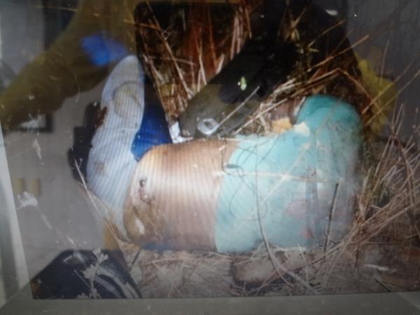 Corpo de homem desaparecido &eacute; encontrado na BR 230.(Imagem:FlorianoNews)