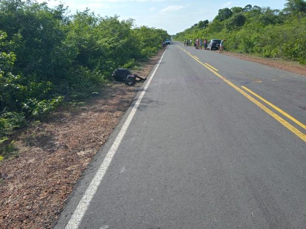 Homem morre ao colidir moto com vaca na PI-115 e corpo é jogado para fora da estrada