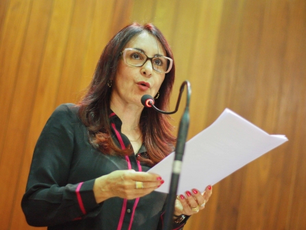 Reajuste dos professores da UESPI será tema de audiência na Alepi
