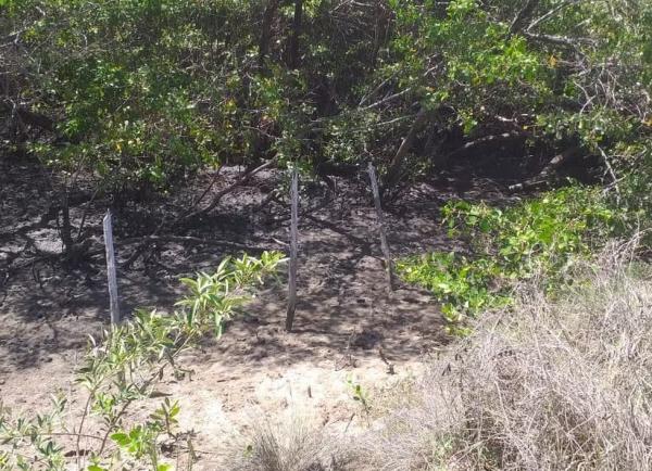 Corpo decapitado e carbonizado é encontrado em estrada próximo a ponto turístico no litoral do Piauí