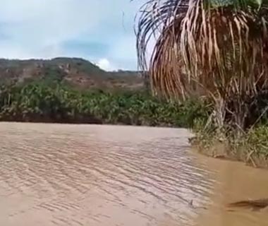 Moradores de Currais denunciam que lagoa estaria contaminada com veneno