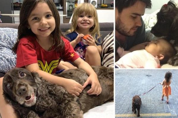 Em crescimento, turismo com pets vira tendência no Brasil