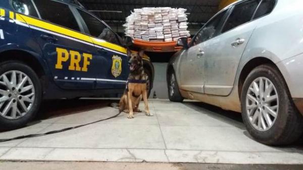 PRF prende motorista por tr&aacute;fico de drogas em Floriano.(Imagem:PRF)
