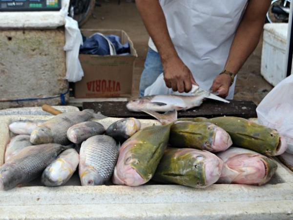 Veja as vagas de emprego do Sine Macapá para 28 de agosto