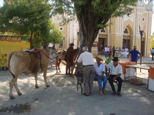 At&eacute; um boi participou da Cavalgada(Imagem:reda&ccedil;&atilde;o)