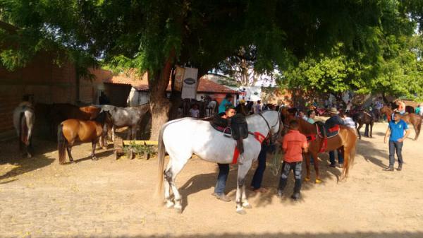 Cavalgada abre oficialmente a 65&ordf; Expoapi em Teresina.(Imagem:Cidade Verde)