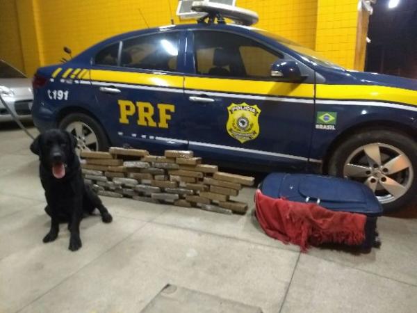 PRF prende mulher com mais de 26 kg de maconha em Floriano.(Imagem:PRF)