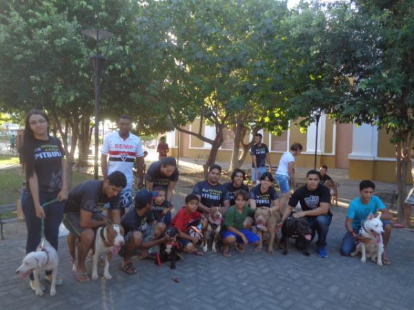 1º Encontro Nacional de Pitbulls é realizado em Floriano