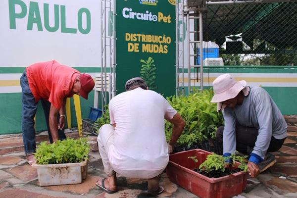 Distribui&ccedil;&atilde;o de mil mudas nativas e frut&iacute;feras pelo programa PRO Verde Piau&iacute;(Imagem:Reprodu&ccedil;&atilde;o)