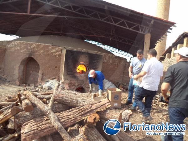 Drogas apreendidas em Floriano s&atilde;o incineradas em Bar&atilde;o de Graja&uacute;.(Imagem:FlorianoNews)