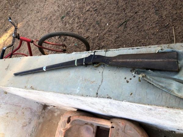 Homem é suspeito de matar cachorro de vizinho a tiros no PI porque animal estaria atacando porcos