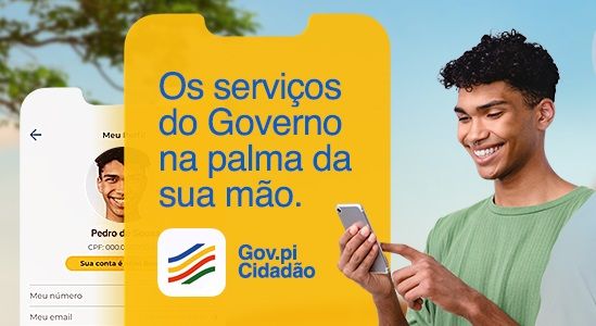 Detran oferece 15 serviços na plataforma Gov.pi Cidadão