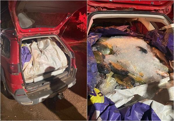 Carga de 300kg de peixes, transportada ilegalmente, é apreendida no Piauí