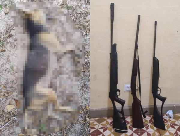Homem é preso após matar cachorro a tiros e manter armas ilegais no Piauí