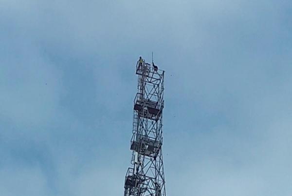 Homem sobe em torre de 80m em Floriano e pede renúncia de Michel Temer