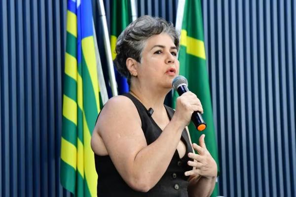 L&uacute;cia Santos, candidata ao Governo do Piau&iacute; pelo PSDB.(Imagem:Divulga&ccedil;&atilde;o/Simepi)