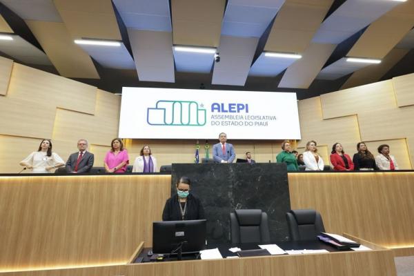 Ministra das Mulheres lança no Piauí mobilização nacional para zerar os casos de feminicídio(Imagem:Divulgação)
