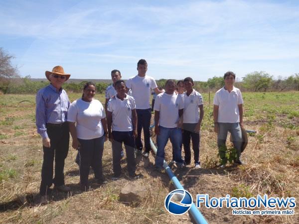 Estudantes instalam sistema de irriga&ccedil;&atilde;o de pasto rotativo em Floriano.(Imagem:FlorianoNews)