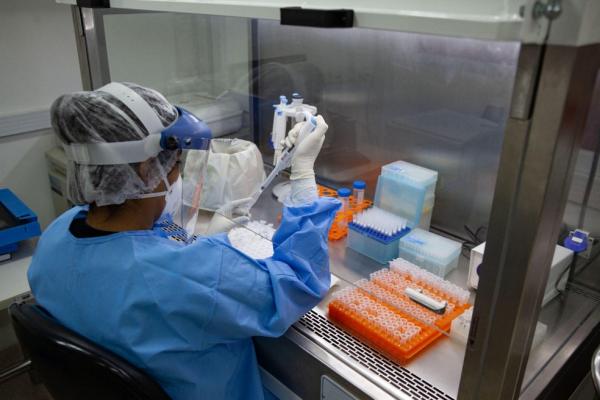 Piauí registra 1.010 novos casos e 12 mortes por Covid-19 em 24 horas