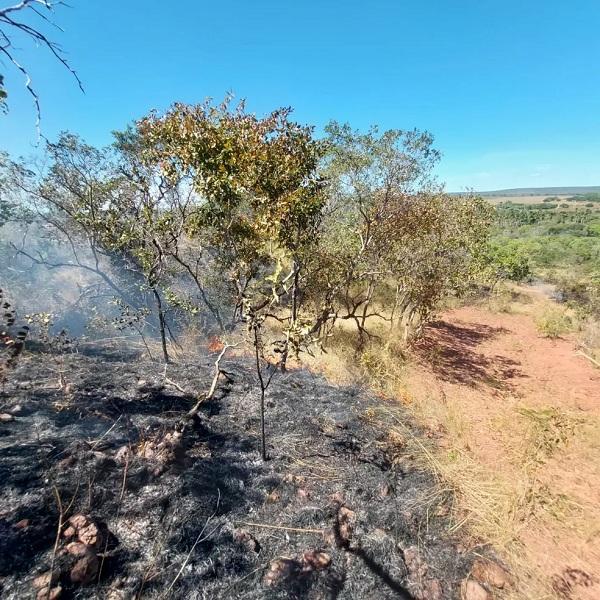 Incêndio de grandes proporções atinge área de 380 hectares de vegetação no Piauí