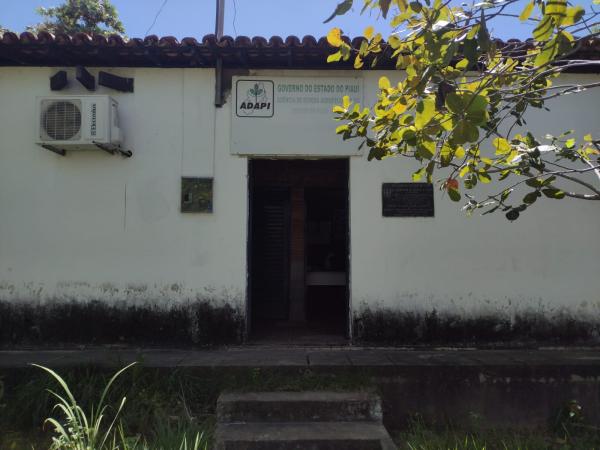 Diretor da ADAPI-Floriano esclarece sobre a prorrogação da vacinação contra febre aftosa