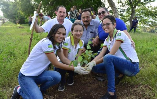Margens do Rio Parnaíba em Floriano recebem 50 mudas de plantas