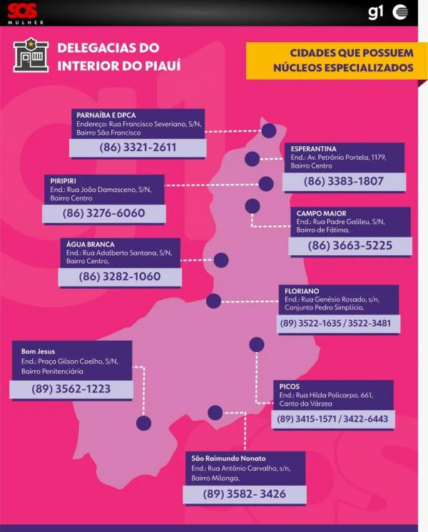 Delegacias da Mulher no interior do Piau&iacute;.(Imagem:Arte Adelmo Paix&atilde;o/ g1 PI)