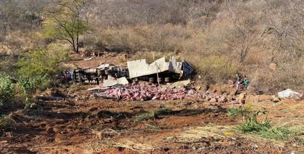 Caminh&atilde;o tomba em curva e capota com carga de carne na BR-316, no Piau&iacute;.(Imagem:Pol&iacute;cia Rodovi&aacute;ria Federal)