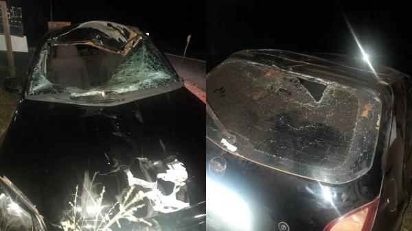 Os três ocupantes tiveram apenas escoriações, apesar da gravidade do acidente. O veículo ficou parcialmente destruído e os envolvidos já estão em casa.