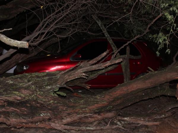 &Aacute;rvore cai sobre carro e moto deixando uma pessoa ferida.(Imagem:Ellyo Teixeira/G1)