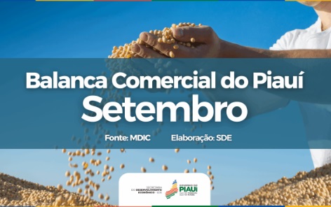 Exportações piauienses crescem 45% e chegam a R$ 828 milhões em setembro