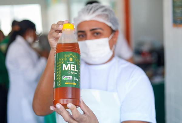 Secretaria da Educação anuncia compra de mel para merenda escolar e apoio a apicultores piauienses