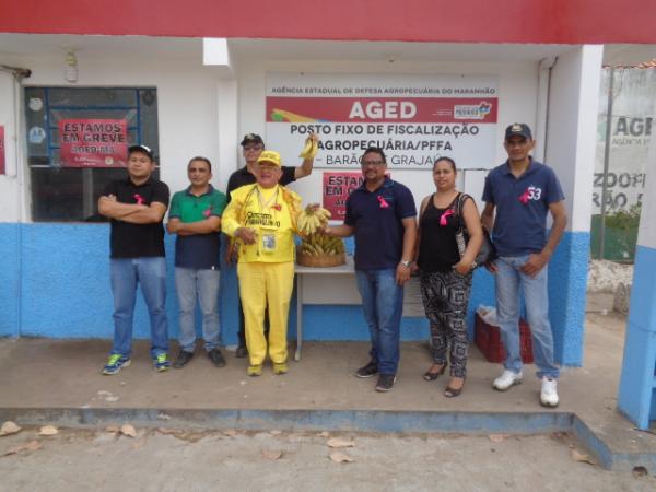 Servidores realizam ato e distribuem bananas em frente &agrave; AGED de Bar&atilde;o de Graja&uacute;.(Imagem:FlorianoNews)