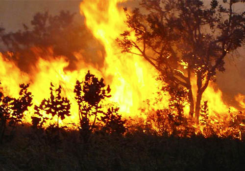Mais de 900 pessoas são orientadas sobre incêndios em Teresina