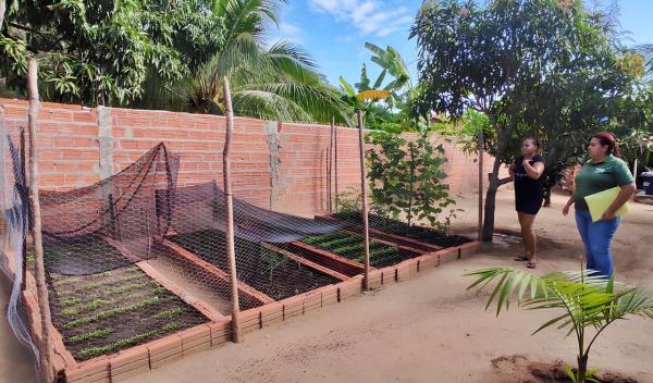 Programa Fomento Rural gera renda para mais de duas mil fam&iacute;lias vulner&aacute;veis e impulsiona produtividade no Piau&iacute;(Imagem:Tavynho Neto)