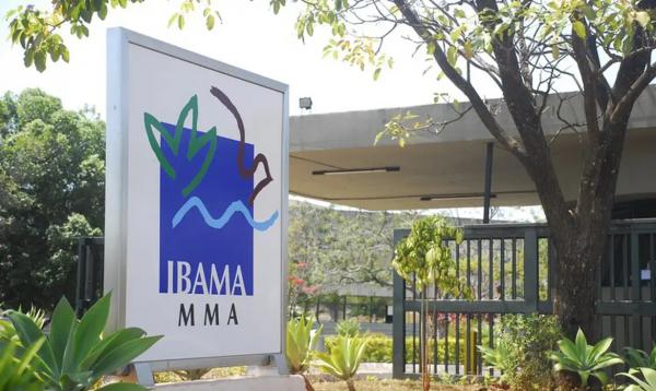 Inscrições para 460 vagas de concurso do Ibama estão abertas
