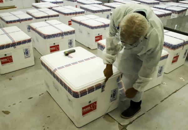 Sesapi divulga quantidade de vacinas enviadas a cada munic&iacute;pio; veja tabela(Imagem:Roberta Aline)