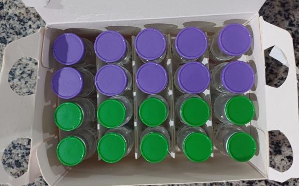 Minist&eacute;rio da Sa&uacute;de envia vacinas contra a dengue para aplica&ccedil;&atilde;o da 2&ordf; dose no Piau&iacute;.(Imagem:Divulga&ccedil;&atilde;o)