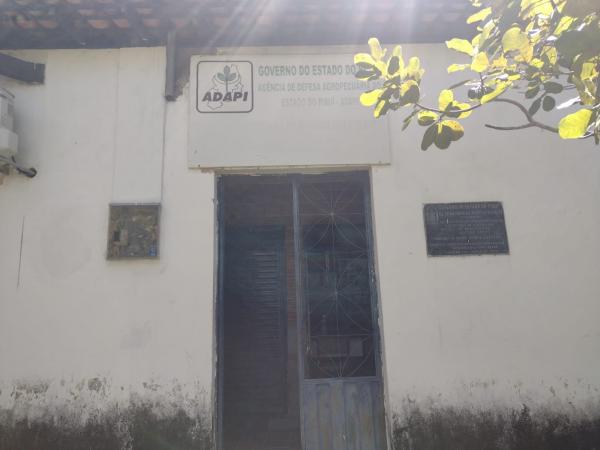 Iniciada a campanha de vacinação contra febre aftosa em Floriano